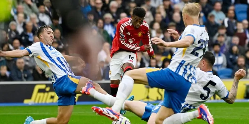 Chấp ¼ có tỷ lệ ăn cược khá lớn