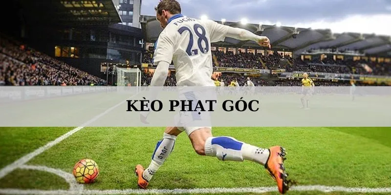 soi-keo-phat-goc-hom-nay-thump